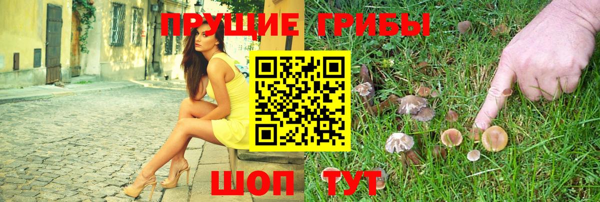 Псилоцибиновые грибы MAGIC MUSHROOMS  Вход с VPN  Родники  Псилоцибиновые грибы прущие грибы 