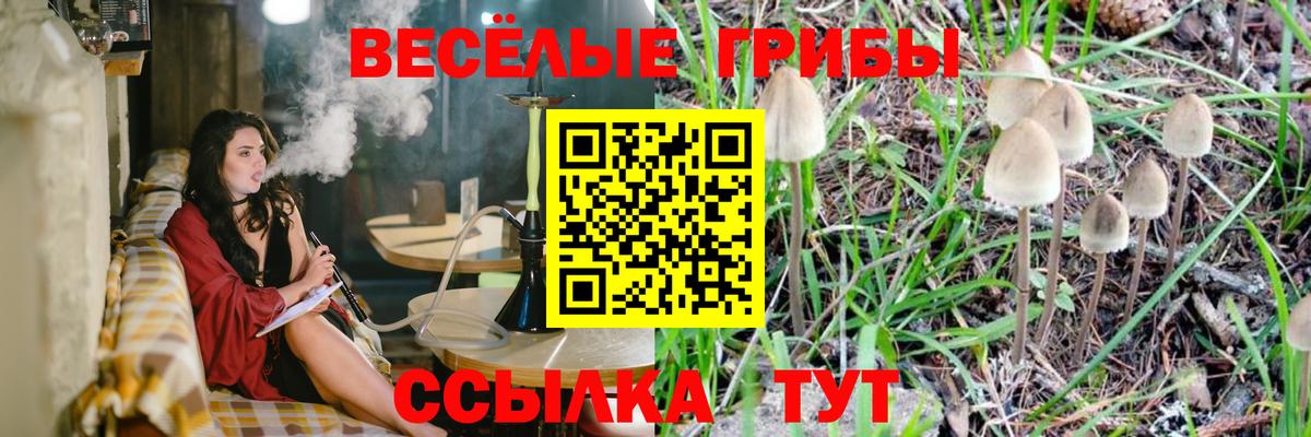 Галлюциногенные грибы Magic Shrooms Родники
